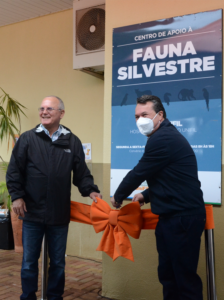 Estrutura Hospital Veterinário Estrutura Hospital Veterinário